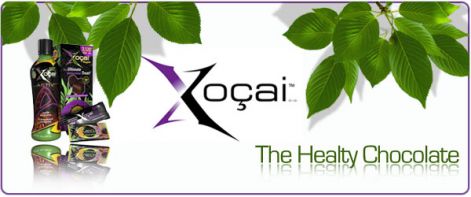 xocia_banner1.jpg